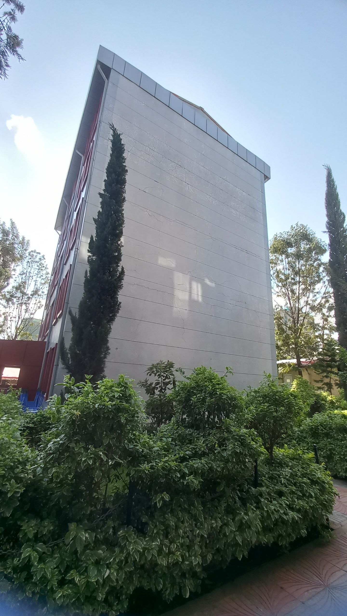 Library View 3
