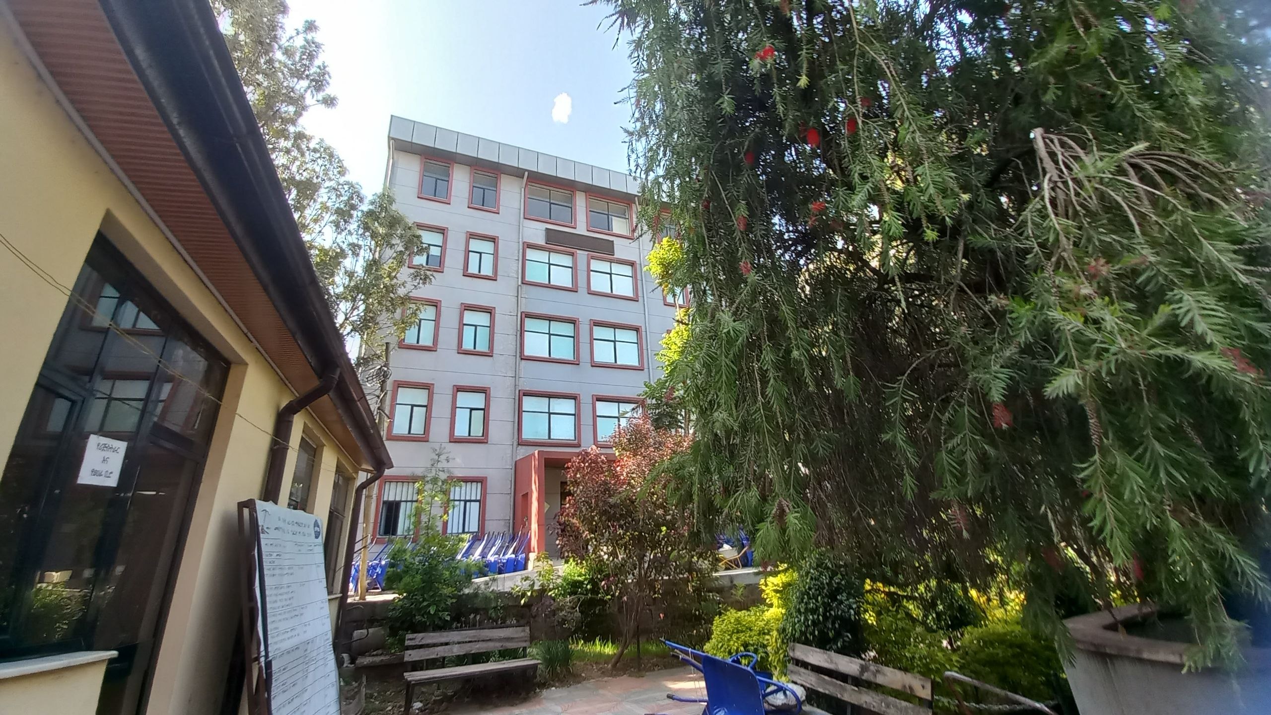 Library View 4