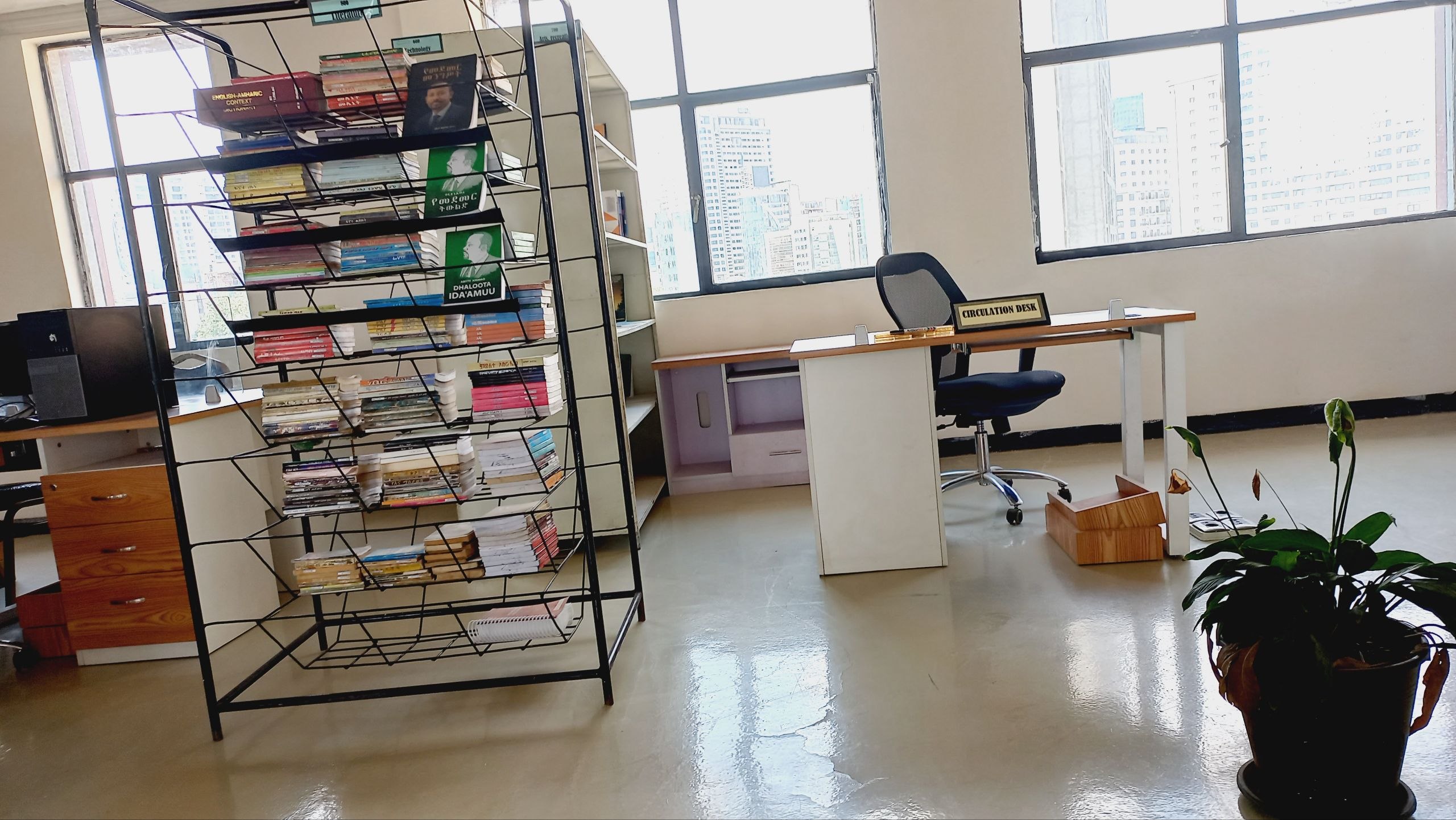 Library Activity 1